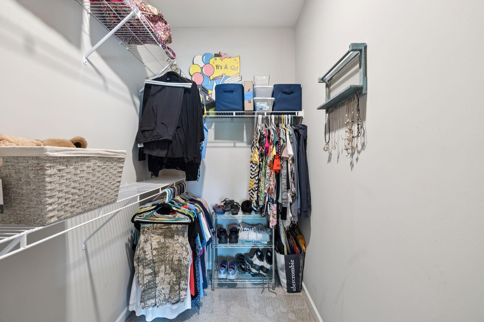 436 Zeffer Court Spring Hill, TN 37174 - Photo 21 of 68