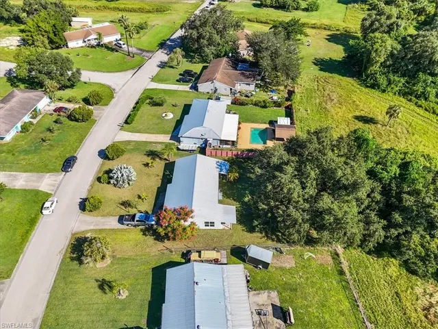 a view of a big yard with plants and large trees