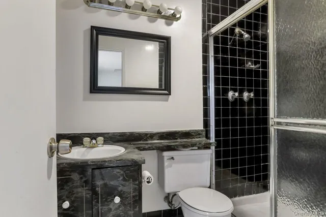 a bathroom with a toilet a sink and mirror