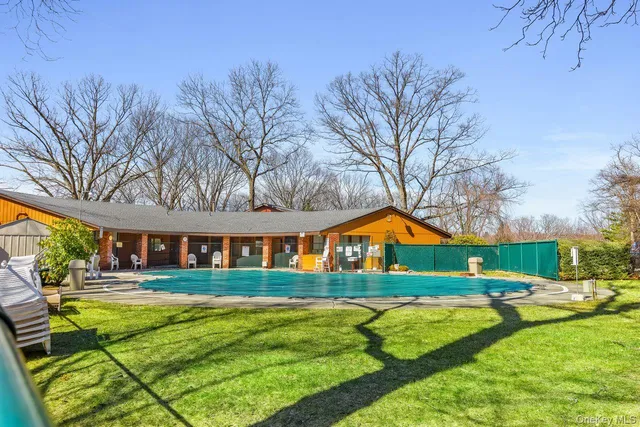 a street view with large trees