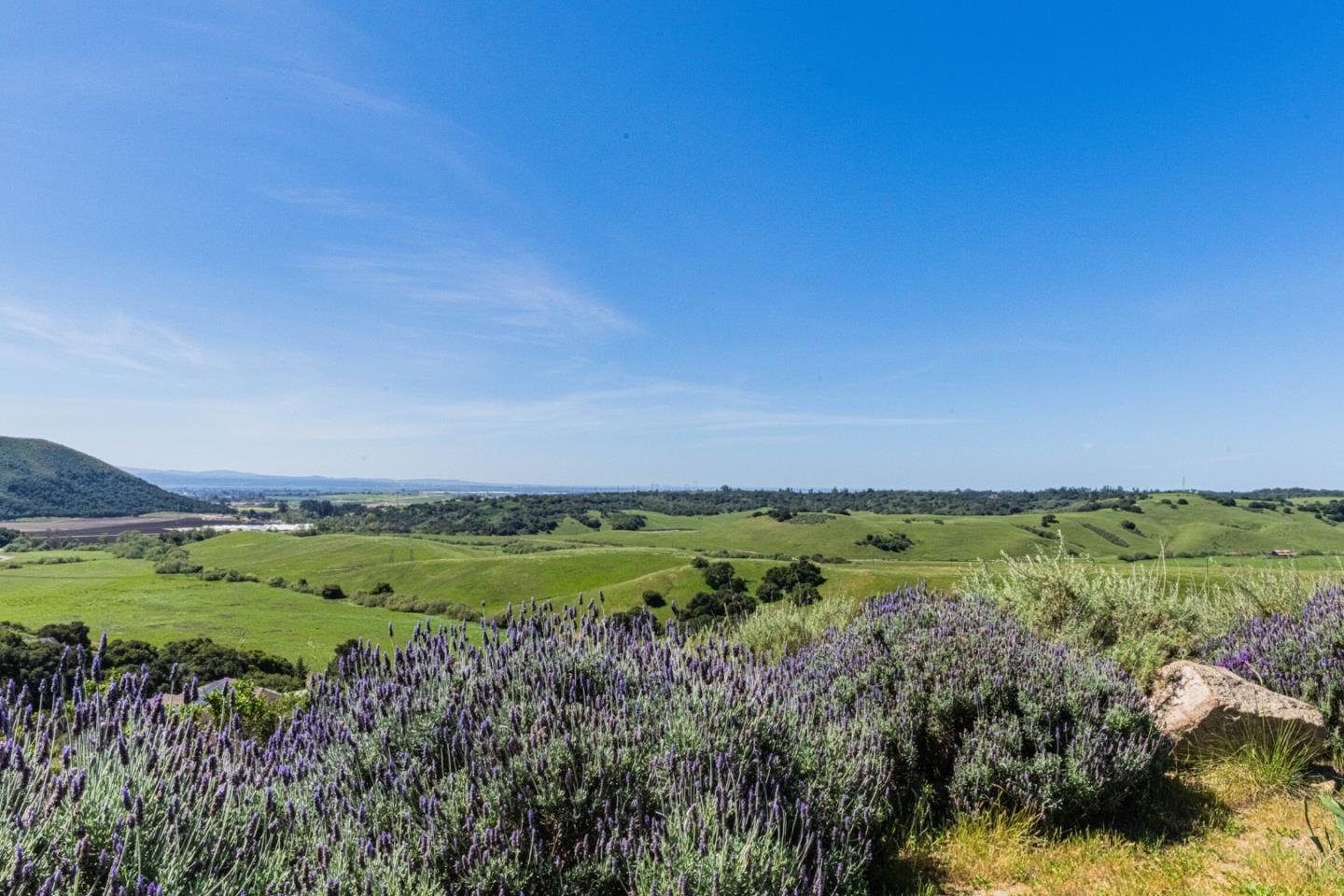 169 Old Stage Road Salinas, CA 93908 - Photo 8 of 47 Gallery Image 8