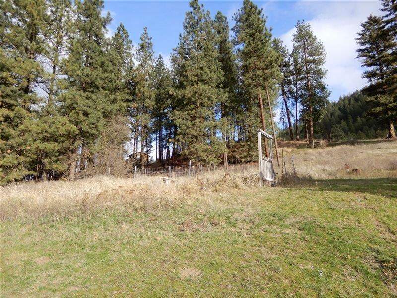 260 F Williams Lake Road Colville, WA 99114 - Photo 15 of 20