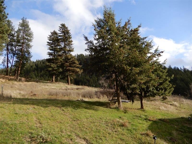 260 F Williams Lake Road Colville, WA 99114 - Photo 17 of 20
