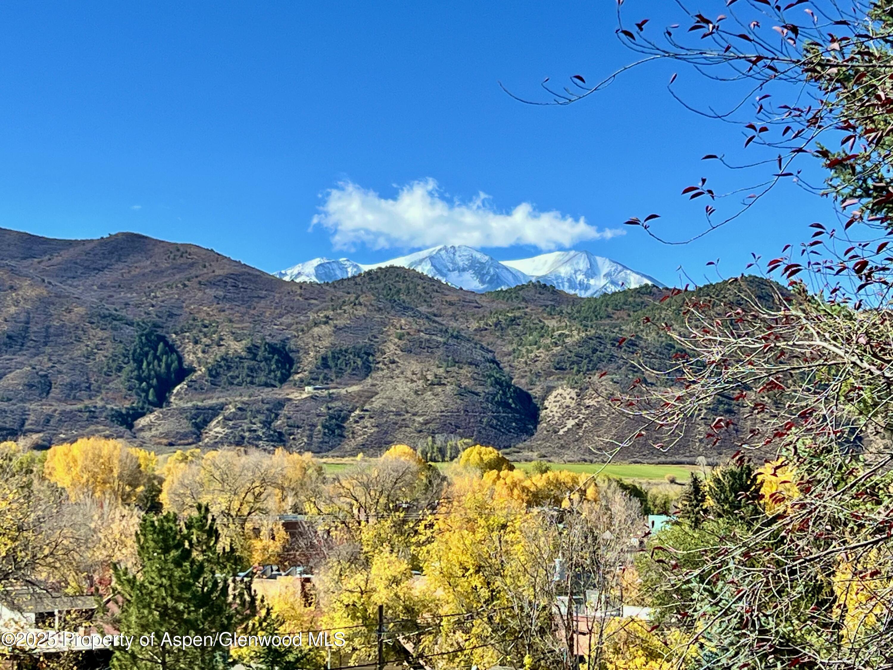216 East Homestead Drive Basalt, CO 81621 - Photo 12 of 26 a view of a yard with a mountain