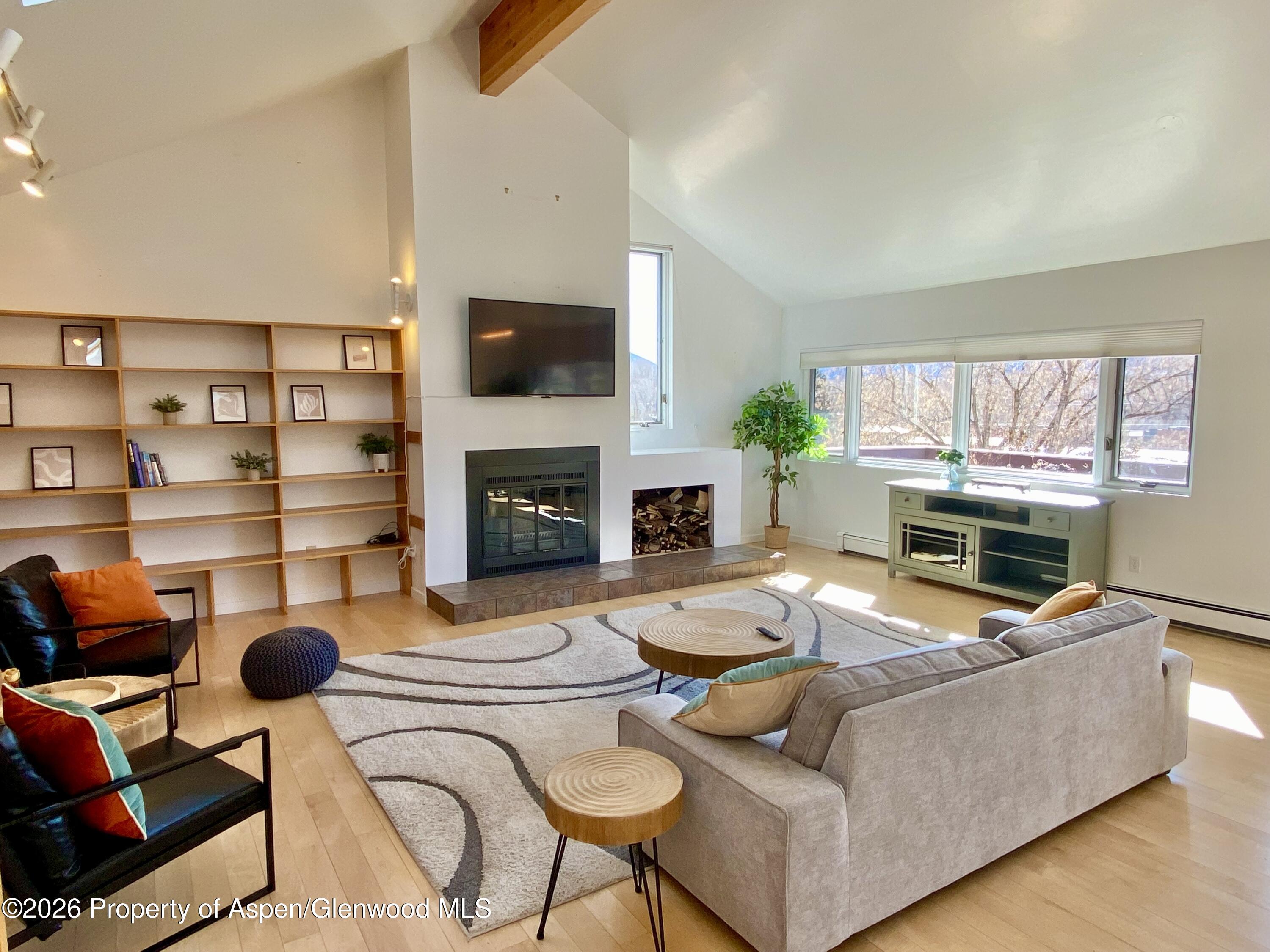 216 East Homestead Drive Basalt, CO 81621 - Photo 26 of 26 a living room with furniture a flat screen tv and a fireplace