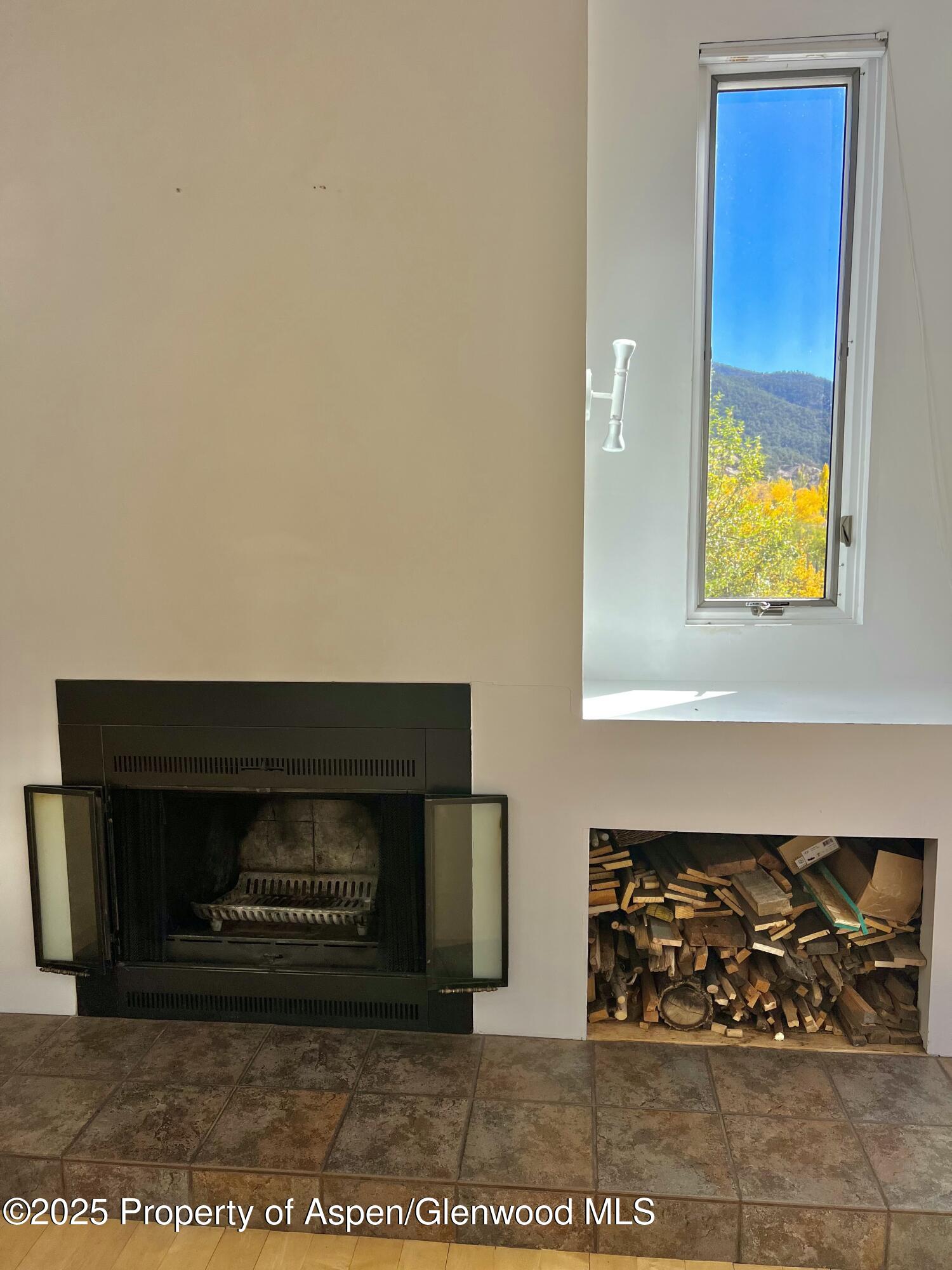 216 East Homestead Drive Basalt, CO 81621 - Photo 4 of 26 a front door view of a fireplace