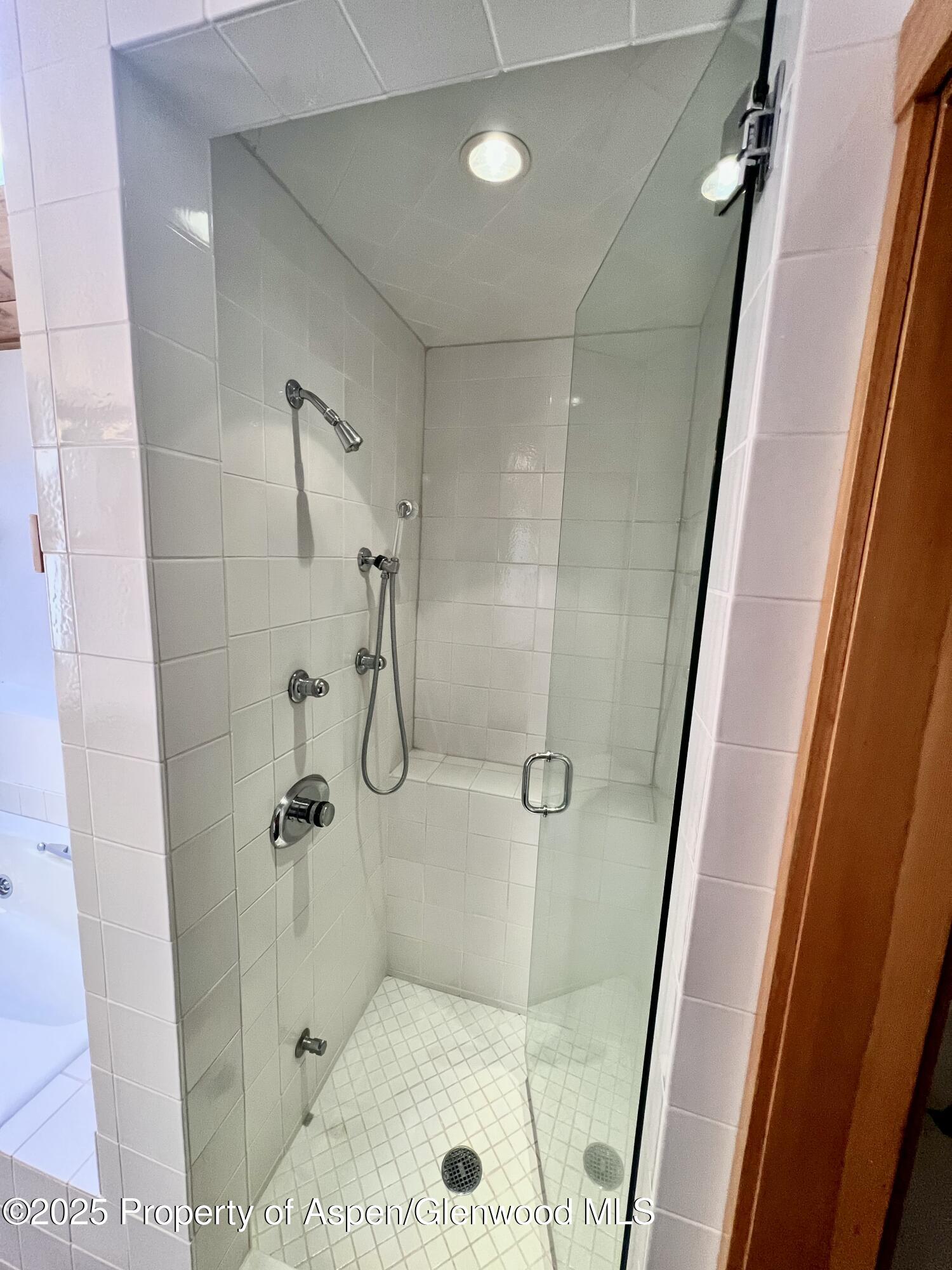216 East Homestead Drive Basalt, CO 81621 - Photo 7 of 26 a bathroom with a glass door shower