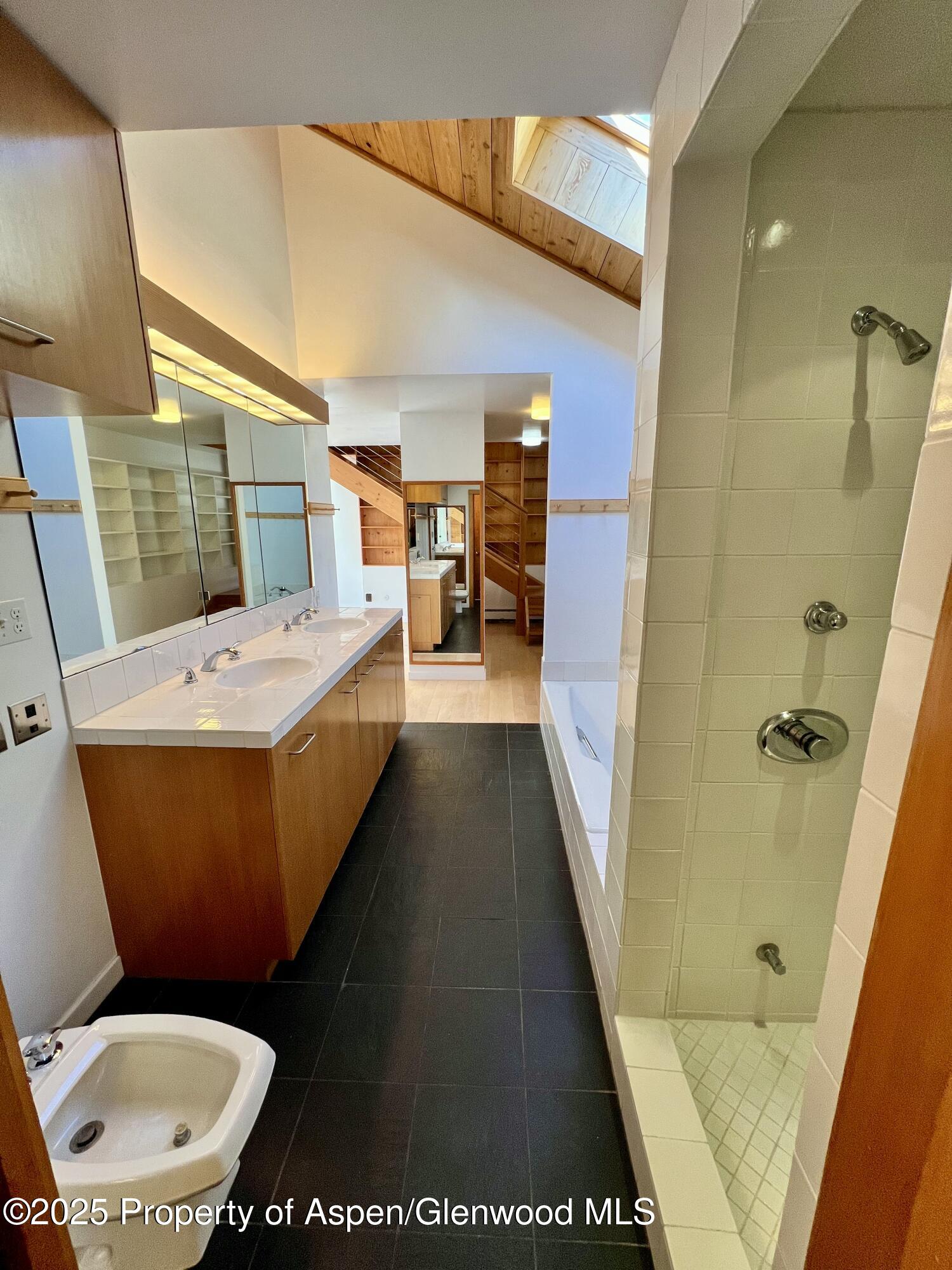 216 East Homestead Drive Basalt, CO 81621 - Photo 8 of 26 a bathroom with a sink a toilet a mirror and shower