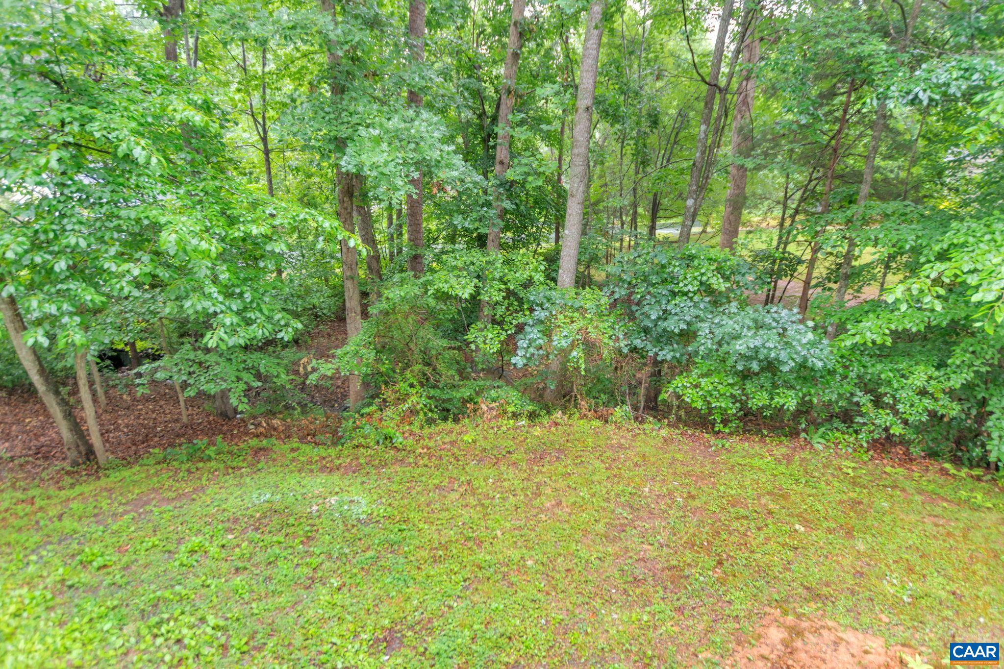 14 Hatchechubee Road Palmyra, VA 22963 - Photo 25 of 30 a view of backyard with green space