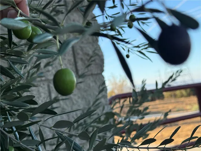 a view of a roof deck