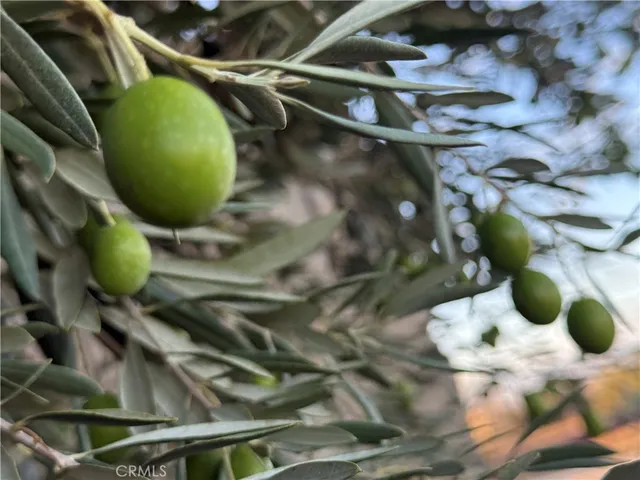 $579,000 | 8539 West Ave L, Lancaster, CA 93536