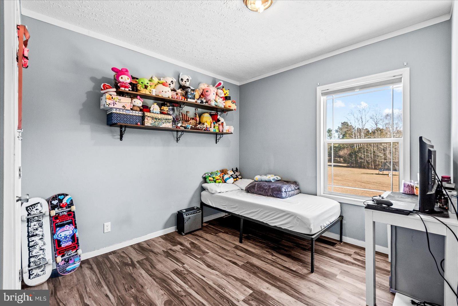 6600 Stubbs Bridge Road Spotsylvania, VA 22551 - Photo 19 of 37 Cheerful bedroom with playful decor and light.