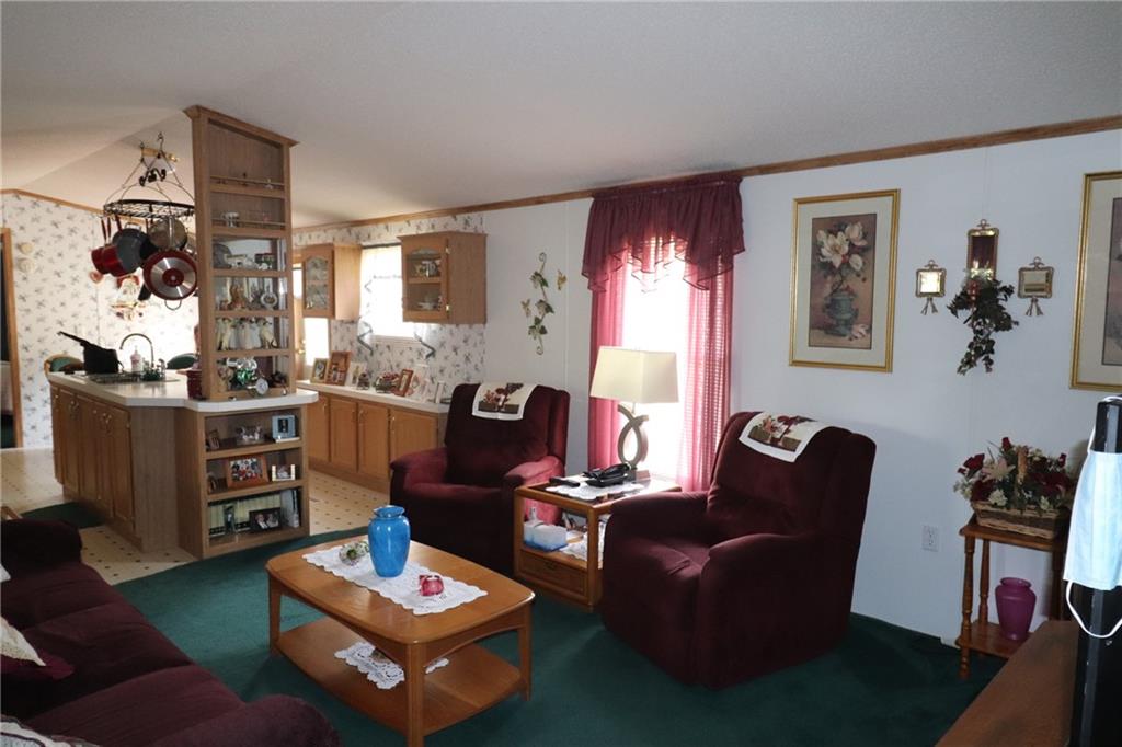 196 Tanner Street Export, PA 15632 - Photo 23 of 23 a living room with furniture a rug and a window