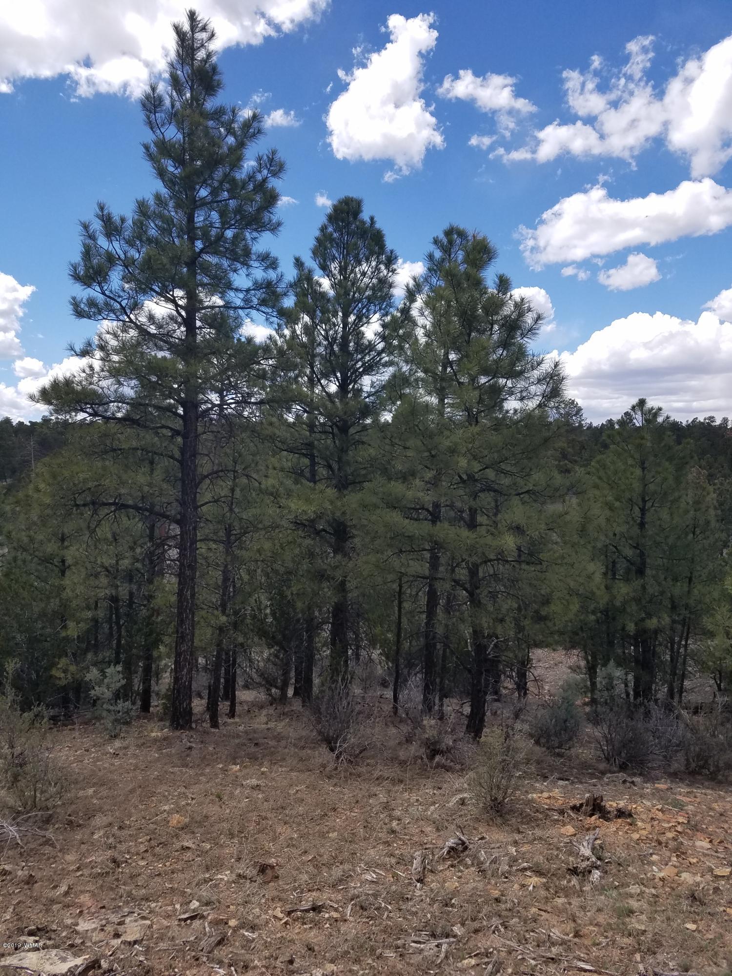 Corner Of Corner Of Hill Road Heber, AZ 85928 - Photo 11 of 29