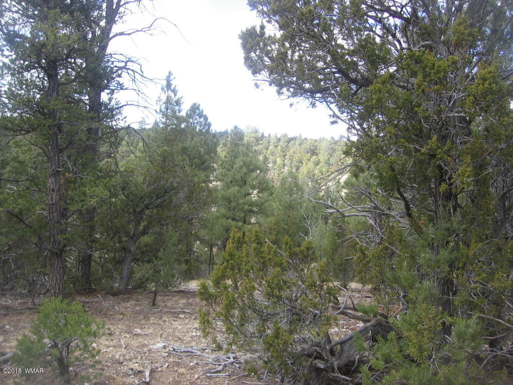 Corner Of Corner Of Hill Road Heber, AZ 85928 - Photo 14 of 29