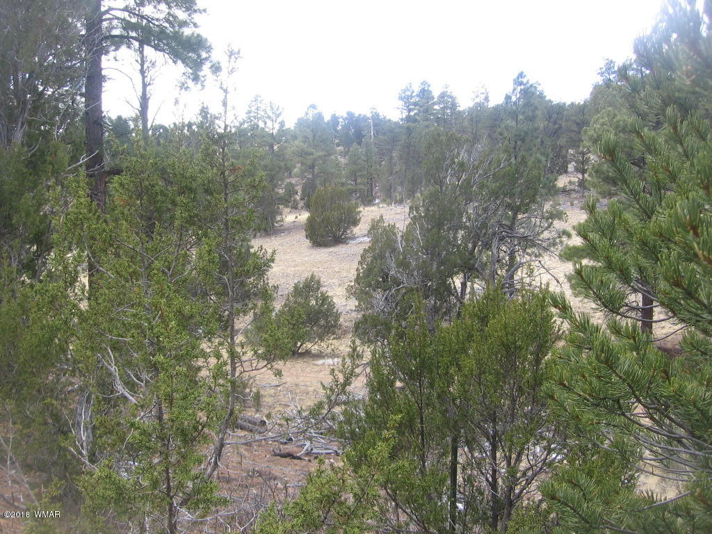 Corner Of Corner Of Hill Road Heber, AZ 85928 - Photo 15 of 29