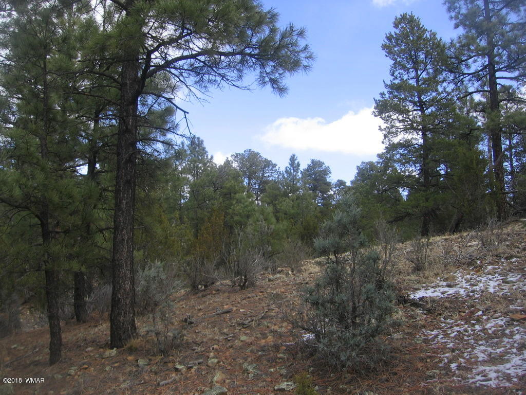 Corner Of Corner Of Hill Road Heber, AZ 85928 - Photo 16 of 29