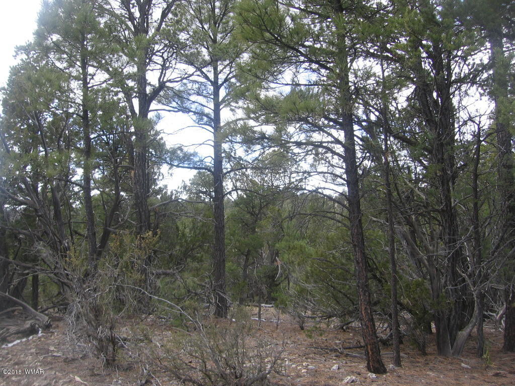 Corner Of Corner Of Hill Road Heber, AZ 85928 - Photo 17 of 29