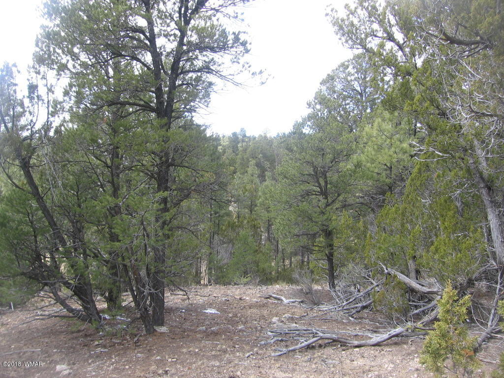 Corner Of Corner Of Hill Road Heber, AZ 85928 - Photo 18 of 29