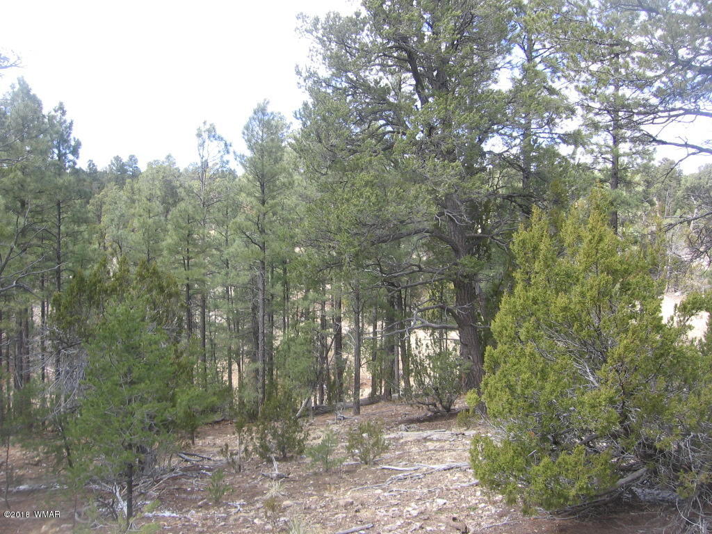 Corner Of Corner Of Hill Road Heber, AZ 85928 - Photo 19 of 29