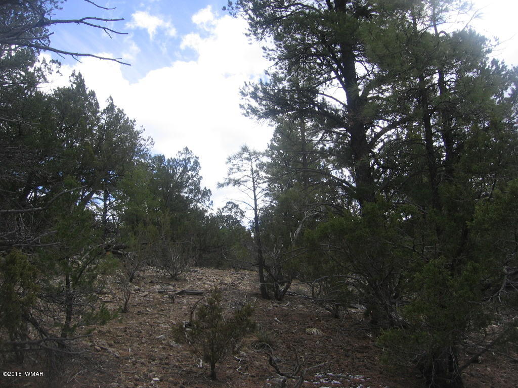 Corner Of Corner Of Hill Road Heber, AZ 85928 - Photo 21 of 29