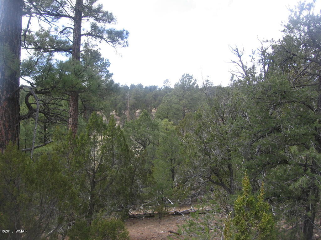 Corner Of Corner Of Hill Road Heber, AZ 85928 - Photo 22 of 29