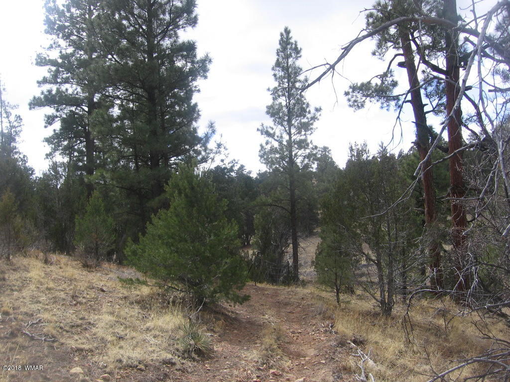 Corner Of Corner Of Hill Road Heber, AZ 85928 - Photo 23 of 29