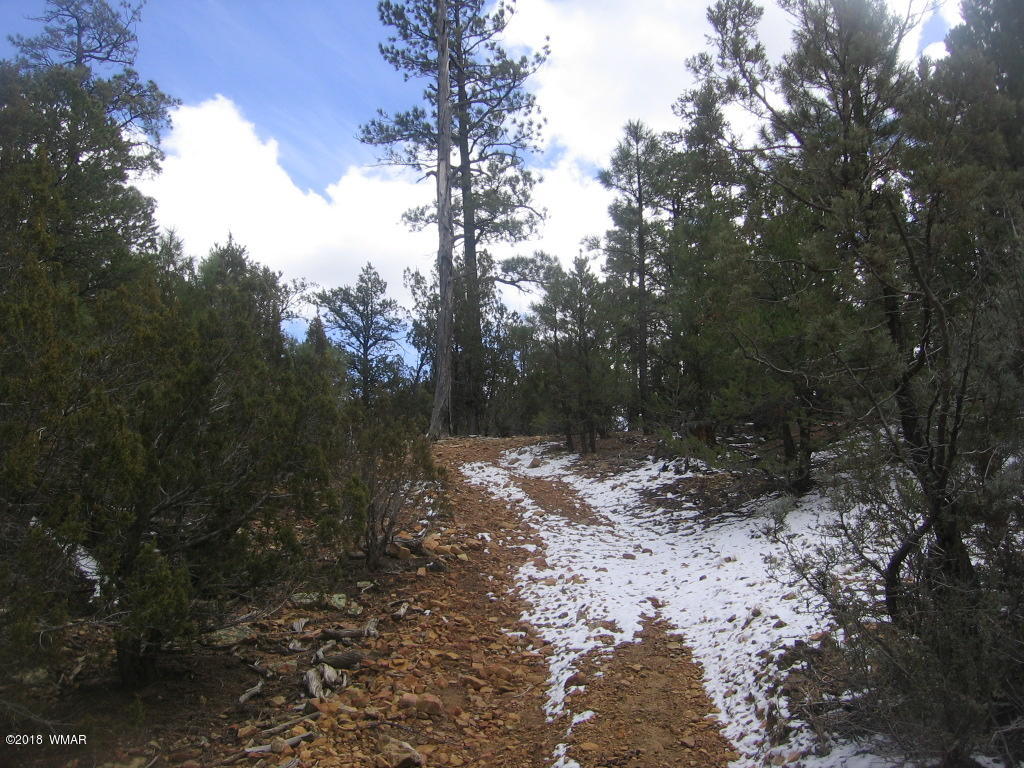 Corner Of Corner Of Hill Road Heber, AZ 85928 - Photo 24 of 29