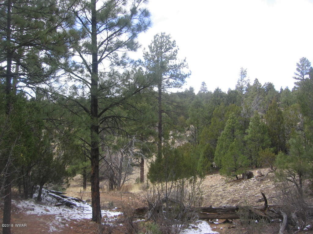 Corner Of Corner Of Hill Road Heber, AZ 85928 - Photo 25 of 29