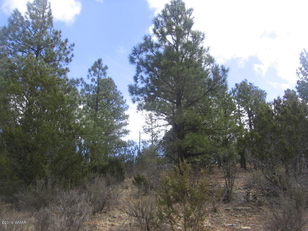 Corner Of Corner Of Hill Road Heber, AZ 85928 - Photo 26 of 29