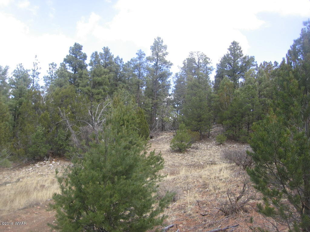 Corner Of Corner Of Hill Road Heber, AZ 85928 - Photo 27 of 29