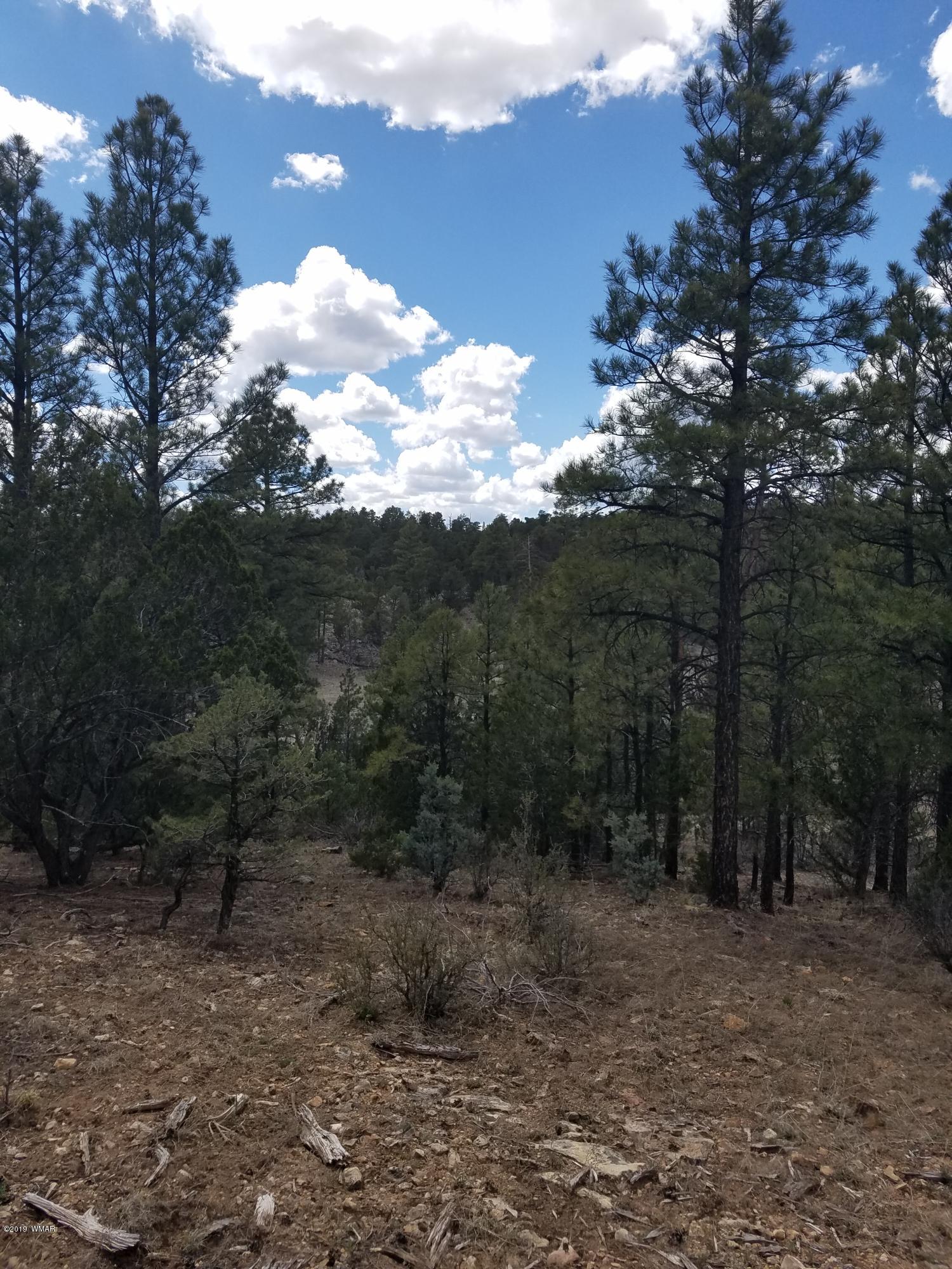 Corner Of Corner Of Hill Road Heber, AZ 85928 - Photo 28 of 29