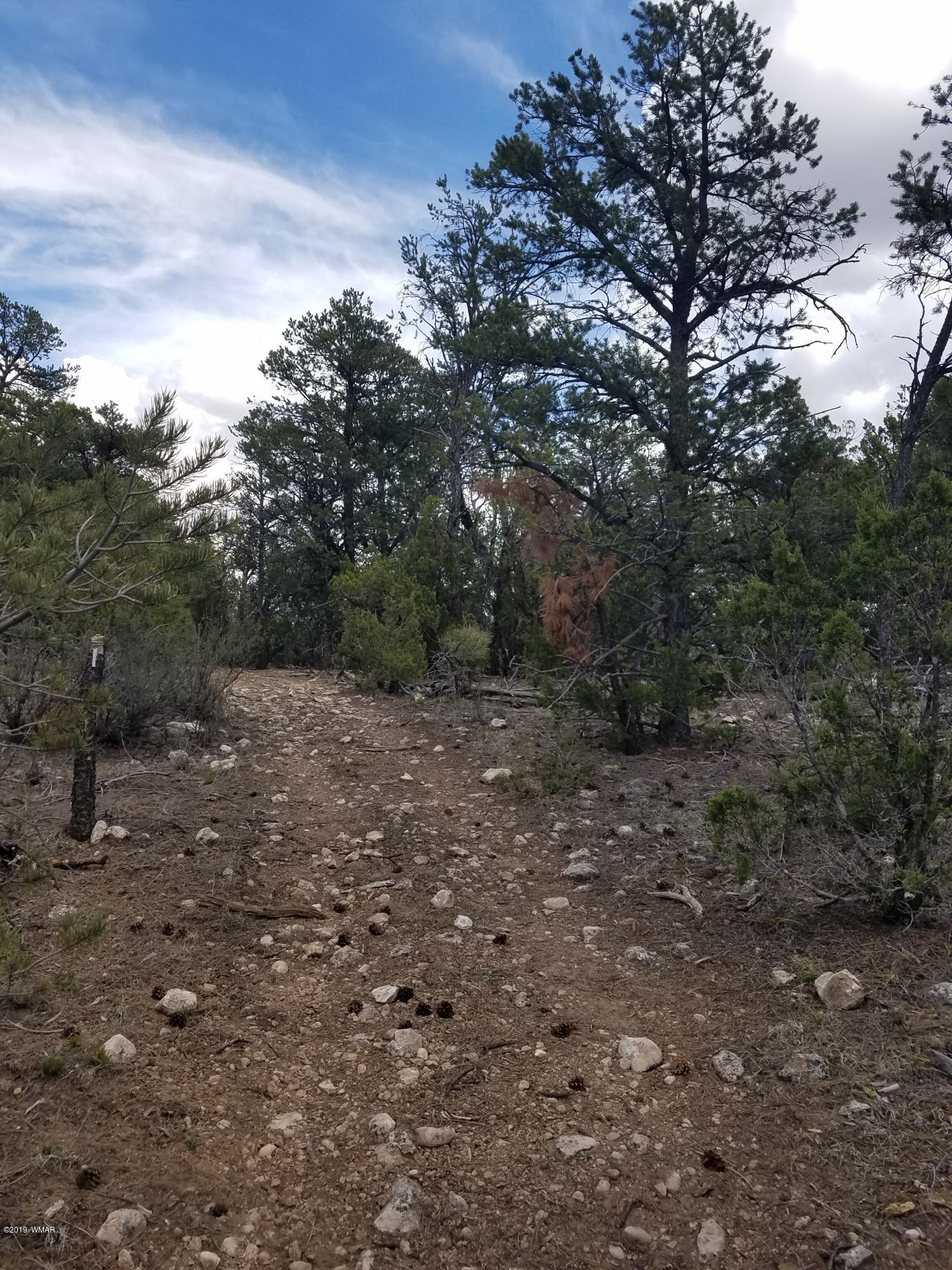 Corner Of Corner Of Hill Road Heber, AZ 85928 - Photo 29 of 29
