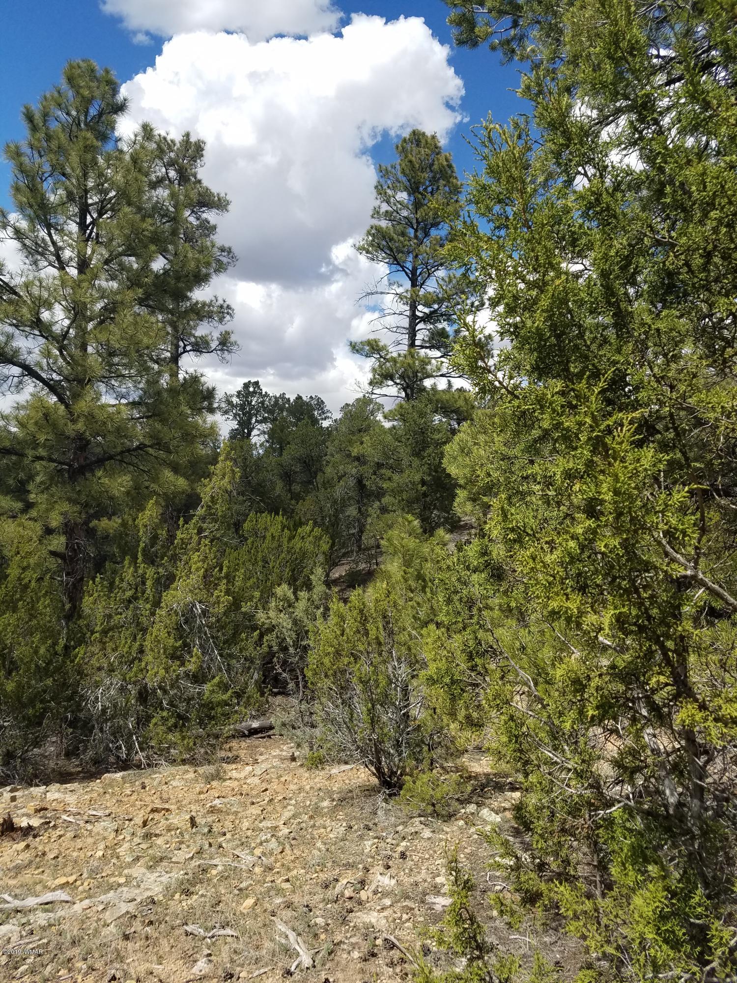Corner Of Corner Of Hill Road Heber, AZ 85928 - Photo 10 of 29