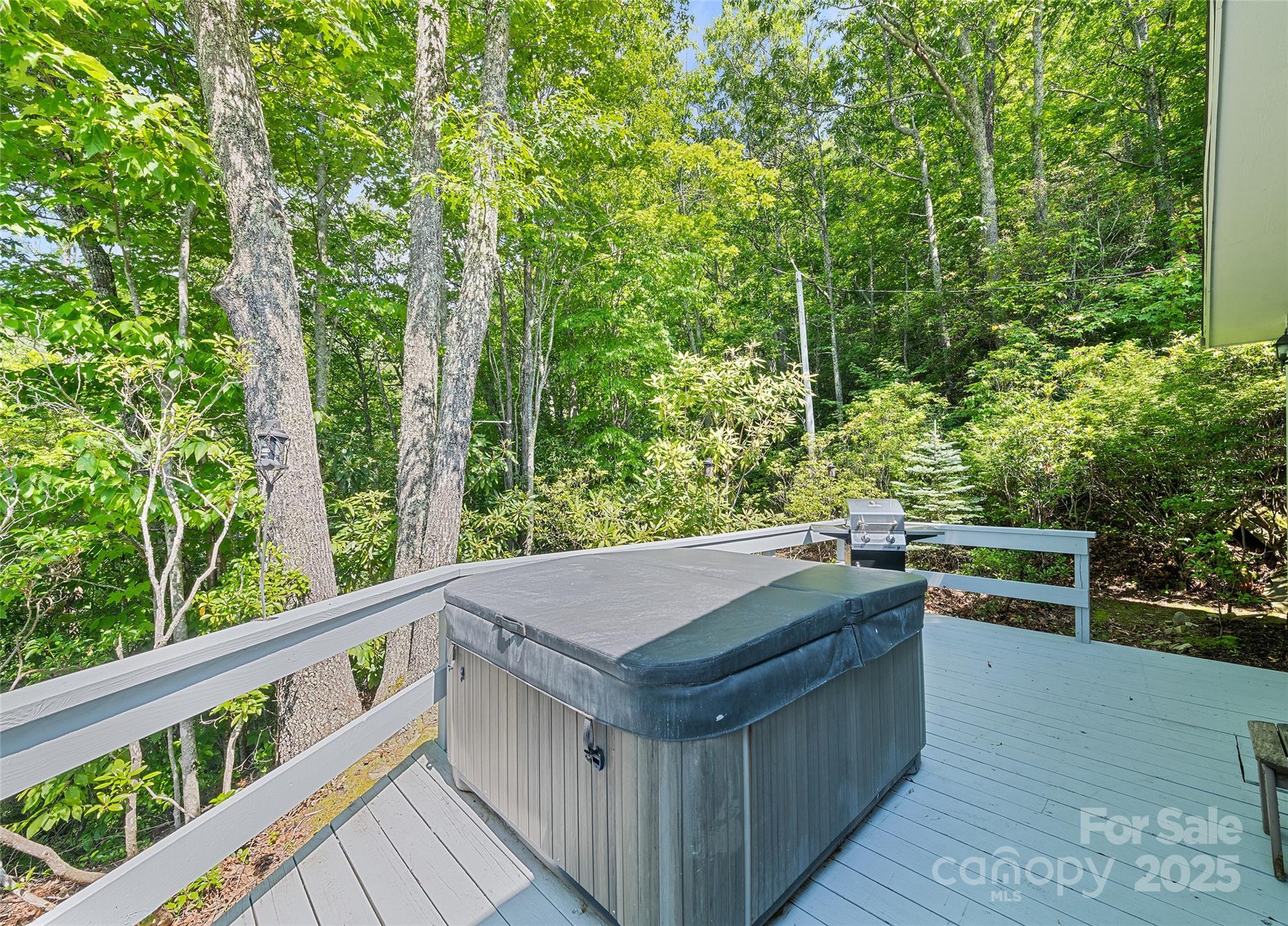 724 Pless Underwood Road Maggie Valley, NC 28751 - Photo 11 of 48 Gallery Image 11
