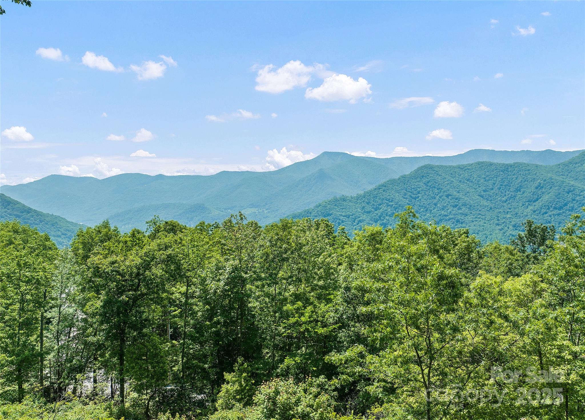 724 Pless Underwood Road Maggie Valley, NC 28751 - Photo 3 of 48 Gallery Image 3