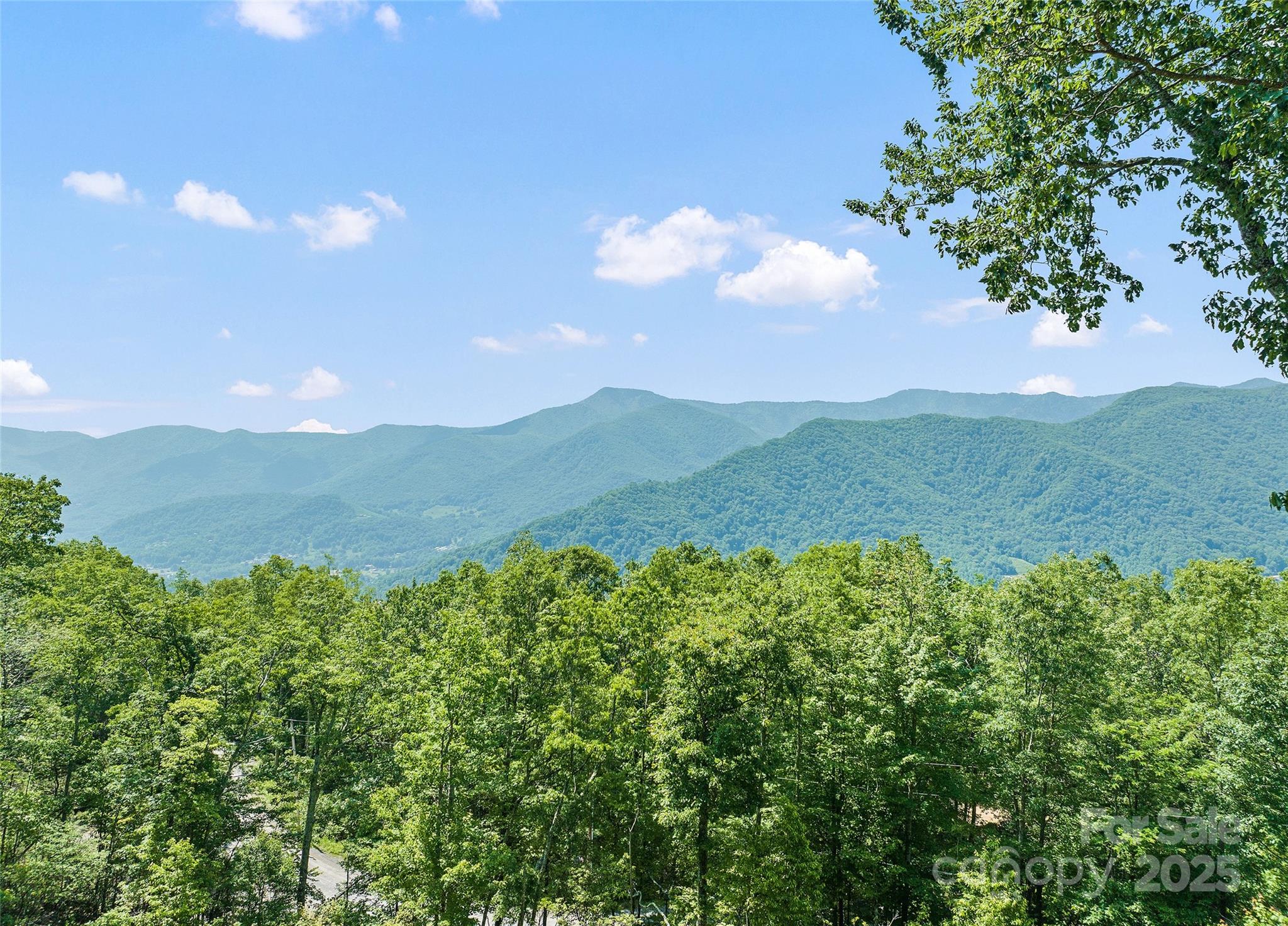 724 Pless Underwood Road Maggie Valley, NC 28751 - Photo 33 of 48 Gallery Image 33