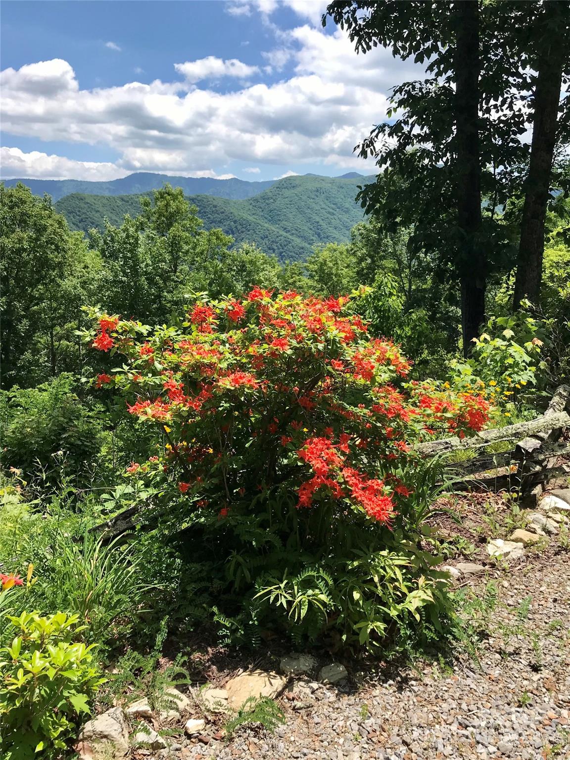 724 Pless Underwood Road Maggie Valley, NC 28751 - Photo 34 of 48 Gallery Image 34