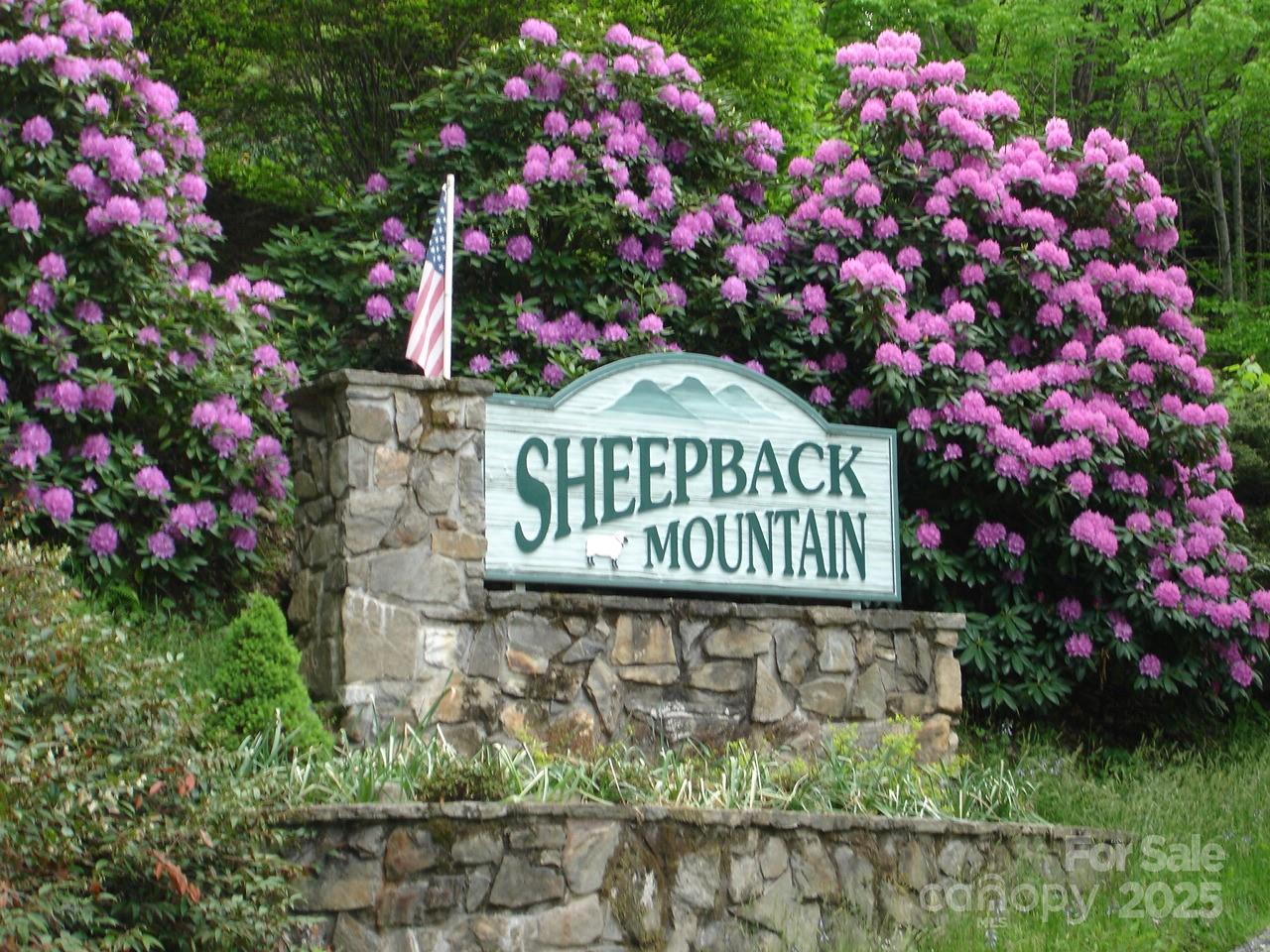 724 Pless Underwood Road Maggie Valley, NC 28751 - Photo 38 of 48 Gallery Image 38
