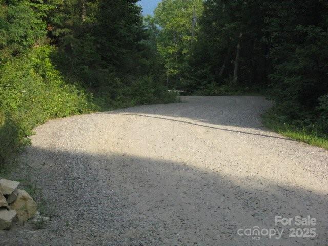 724 Pless Underwood Road Maggie Valley, NC 28751 - Photo 39 of 48 Gallery Image 39