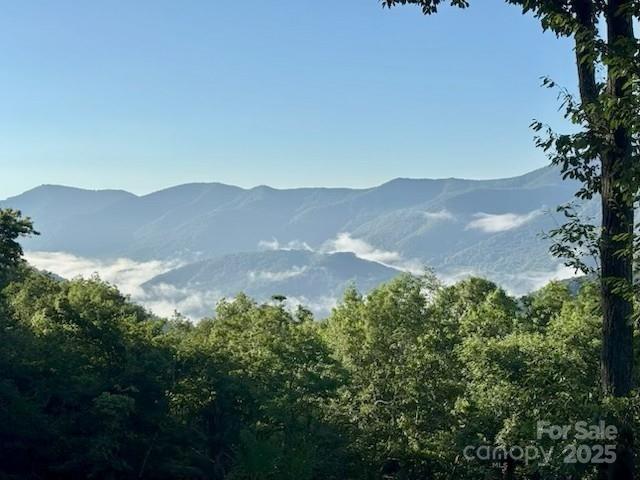 724 Pless Underwood Road Maggie Valley, NC 28751 - Photo 4 of 48 Gallery Image 4