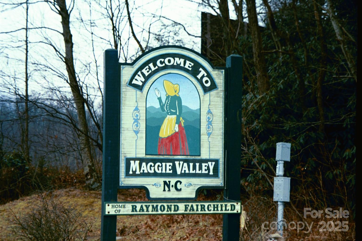 724 Pless Underwood Road Maggie Valley, NC 28751 - Photo 42 of 48 Gallery Image 42