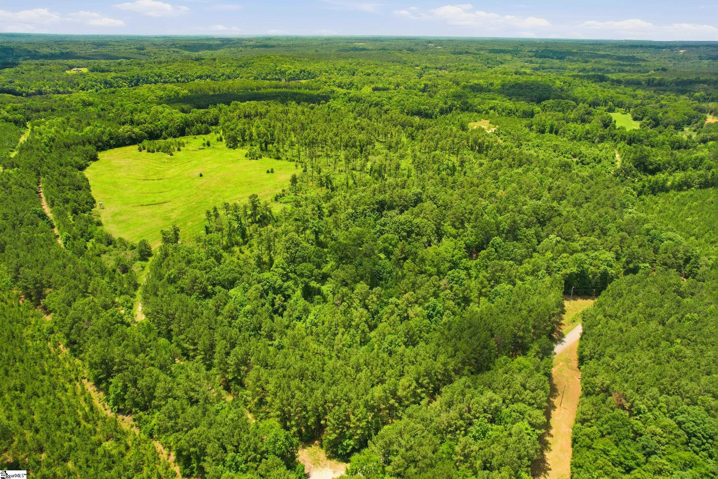 839 Duncan Creek Church Road Clinton, SC 29325 - Photo 13 of 50