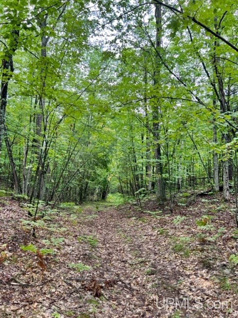 T-wi Wi 54156 Road Pembine, WI 54156 - Photo 14 of 20