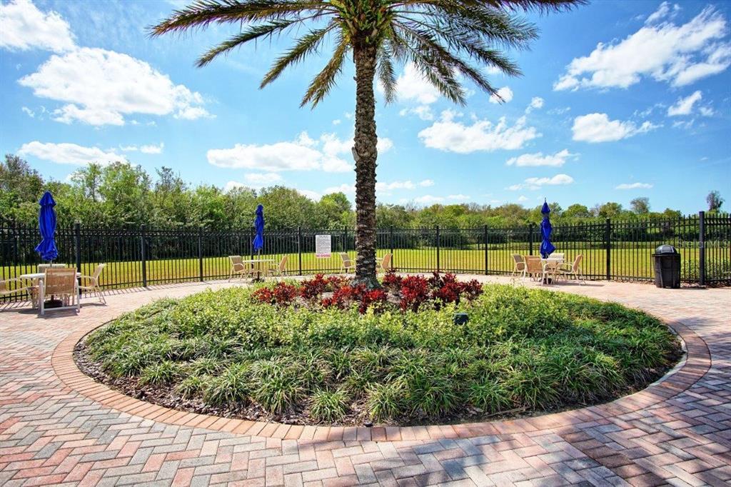 11619 Iris Spring Court Riverview, FL 33579 - Photo 33 of 35