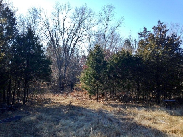 354 County Road Fulton, MO 65251 - Photo 5 of 21