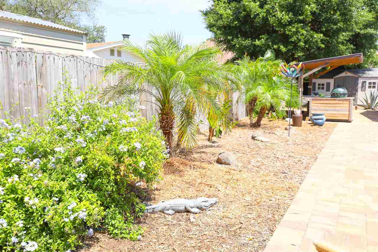 340 Orchis Road St. Augustine, FL 32086 - Photo 40 of 50
