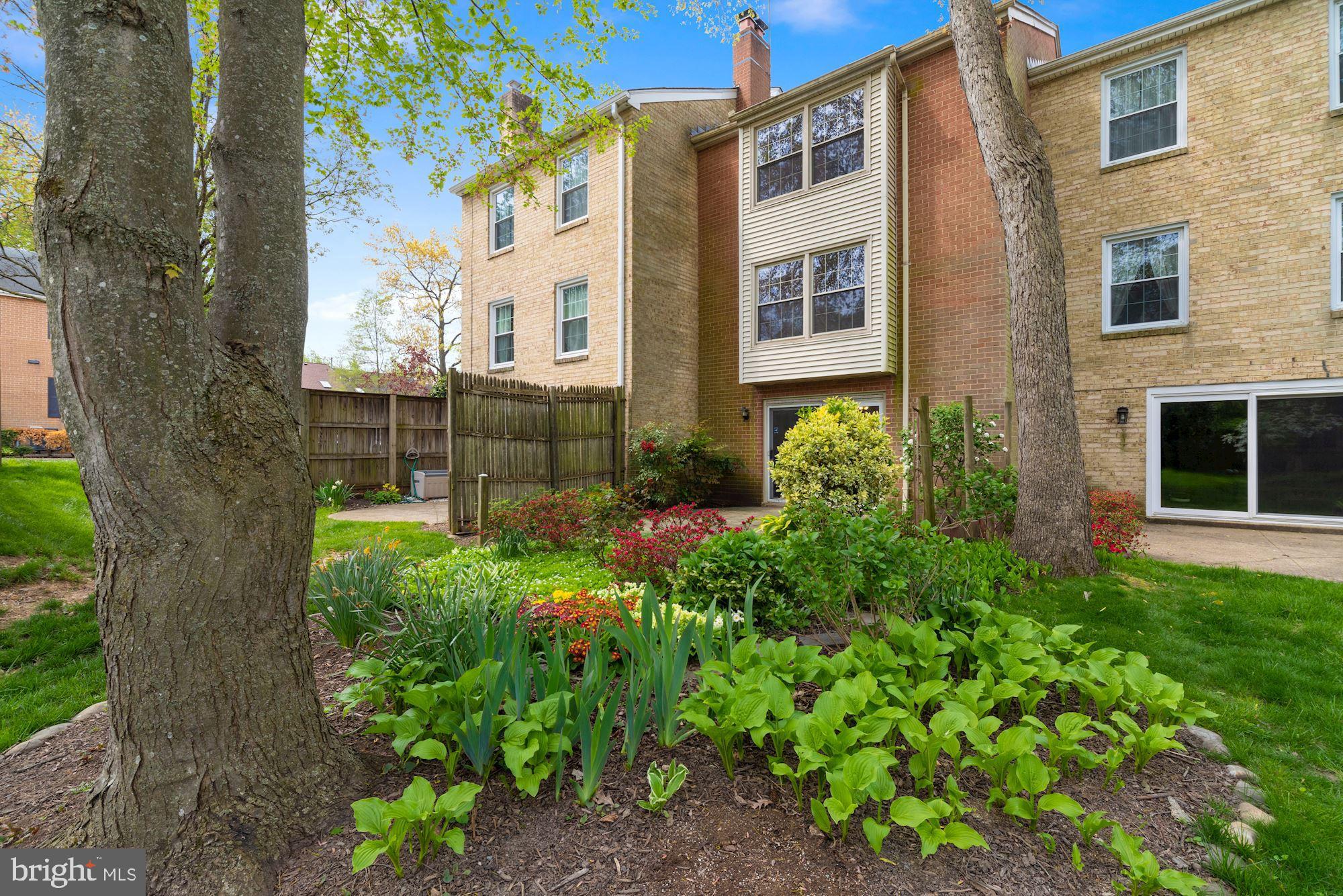 2123 Bucknell Terrace, Unit 52 Silver Spring, MD 20902 - Photo 22 of 26 Backyard
