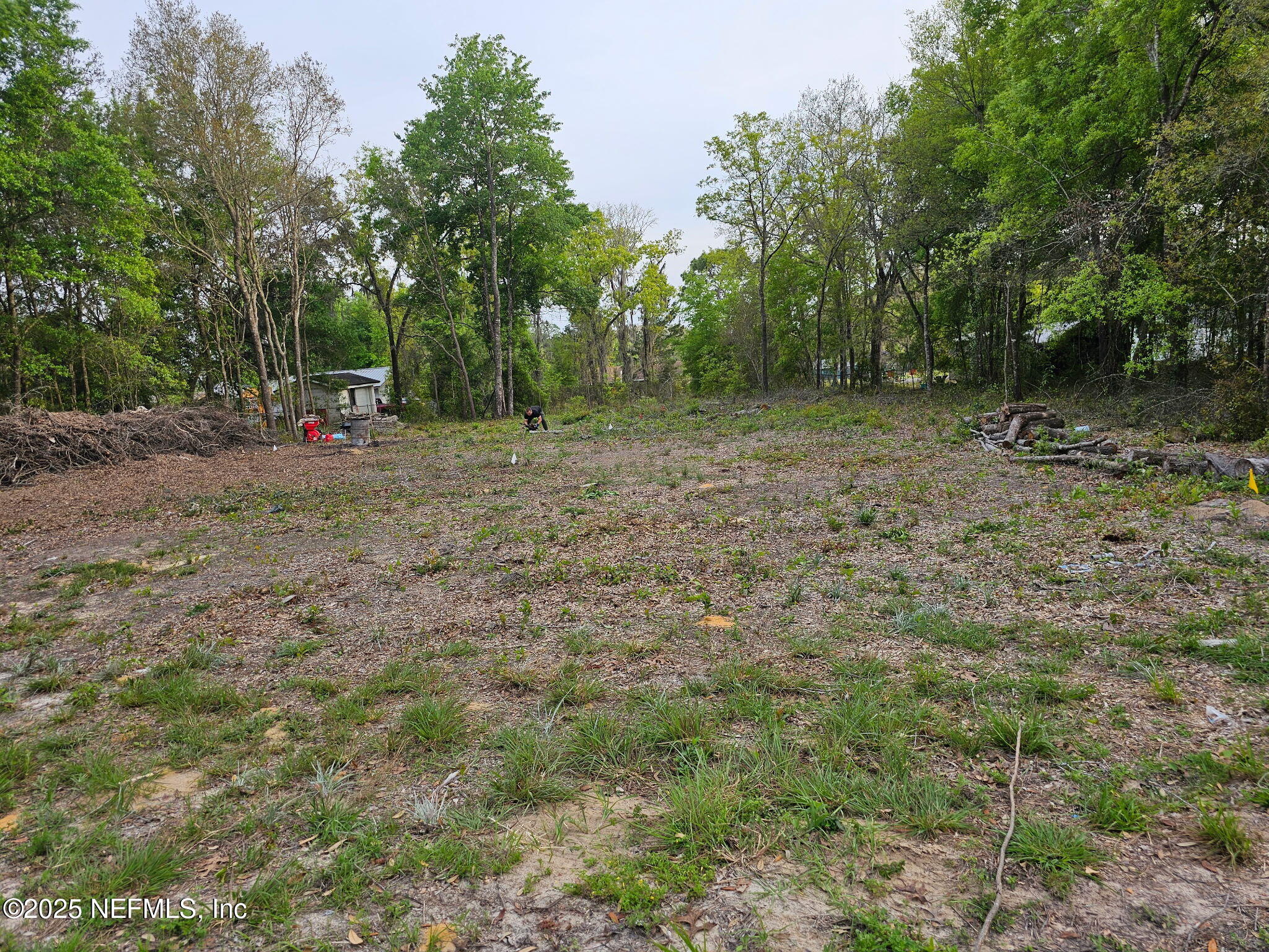 a backyard of a house with lots of green space