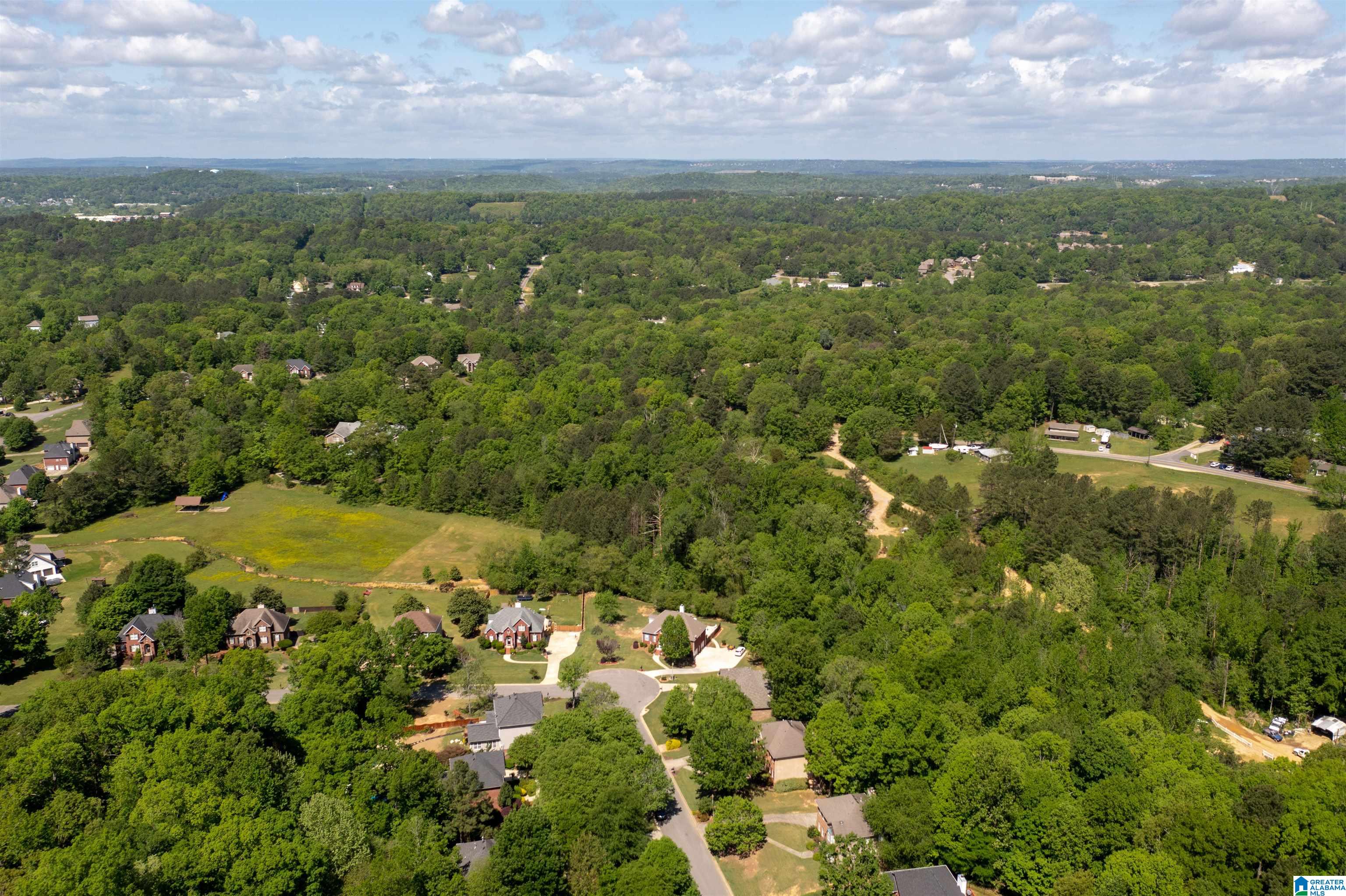 231 Silverleaf Drive Pelham, AL 35124 - Photo 49 of 50